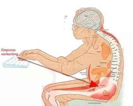 7个动作练出好身材,7个练腰动作让你成为真正的超人