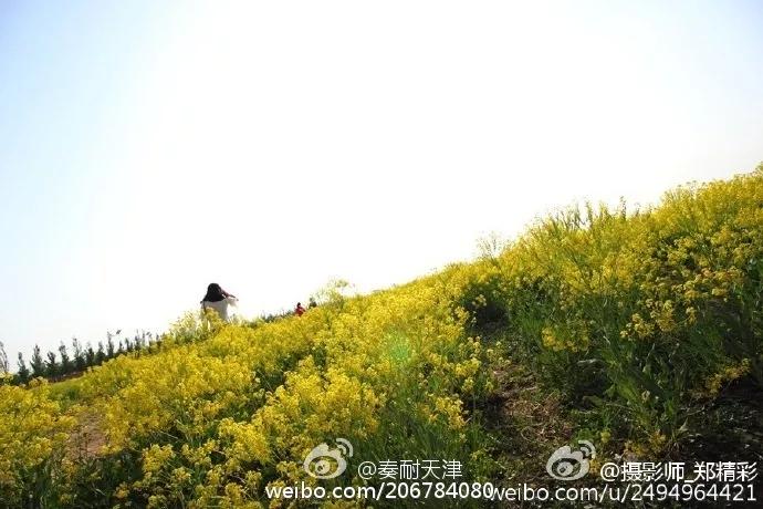 静海县政府奖励企业金牌,天津为静海而骄傲