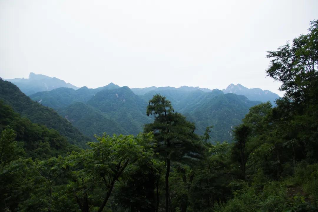 秦岭沣峪口上山有哪些景点,秦岭大坝沟瀑布