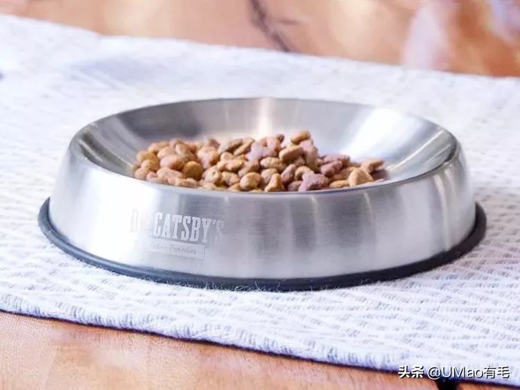 养猫这么多年你怎么连碗都摆不对 (养猫省钱妙招猫碗)