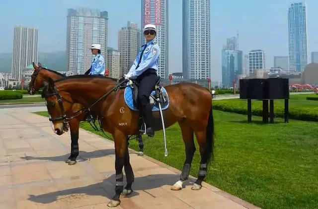 大连必玩的十大景点,大连打卡必去网红景点