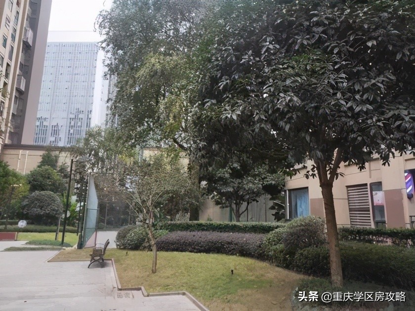 照母山的重点中学,照母山优质学区