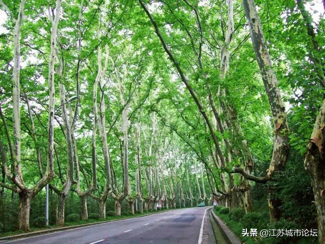 台湾学生拍电影,台湾学生南京