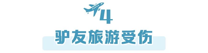 8天小长假来临出行需要注意啥,八天小长假了去哪里玩呢