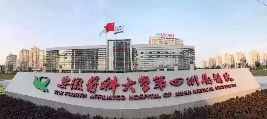 新站未来的潜力板块在哪里,新站发展最新消息