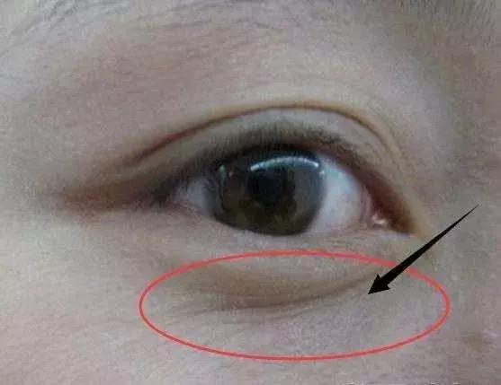 让底妆更加加分的隔离推荐,秋冬干皮底妆隔离推荐