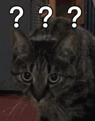 男子拔火罐收费2000多,男子拔火罐买单花了2000多