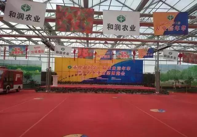 田园综合体的温室大棚，怎么做更有价值