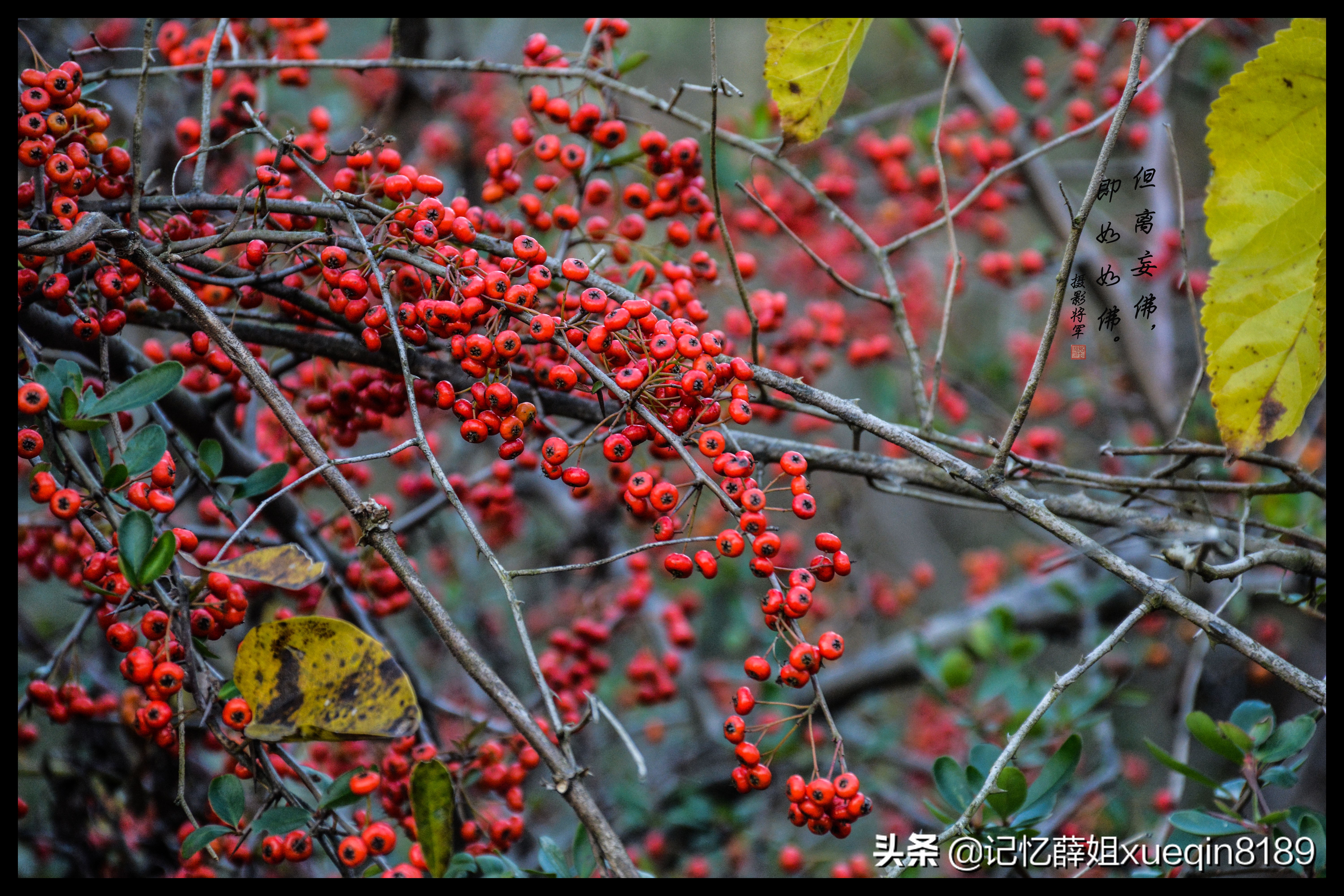 摄影测光的正确方法,摄影时怎么测光