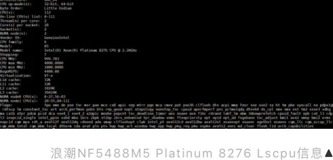 被称8卡“机王”的浪潮高端AI服务器,国外专业评测全记录(三)