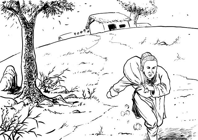 说文解字397课视频,说文解字第297课