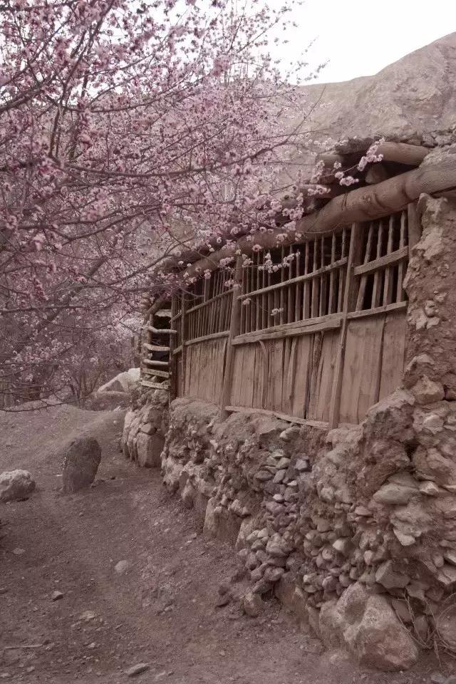 玄奘穿越帕米尔路线,帕米尔高原路线图帕莎古道