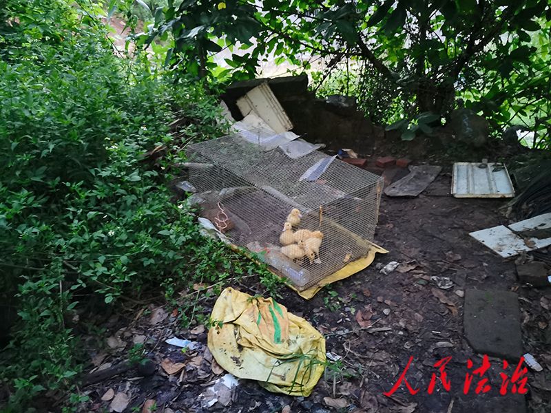 广西梧州最新逮捕偷烟名单,广西挖宝藏