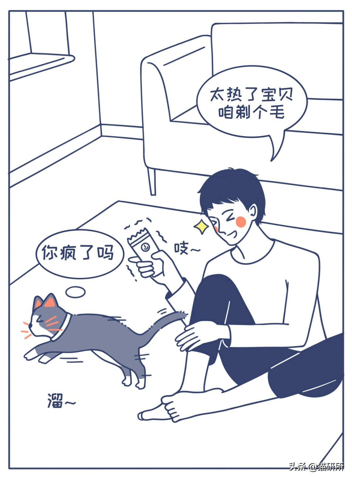 对猫的误解狂犬病,关于猫的冷知识有哪些