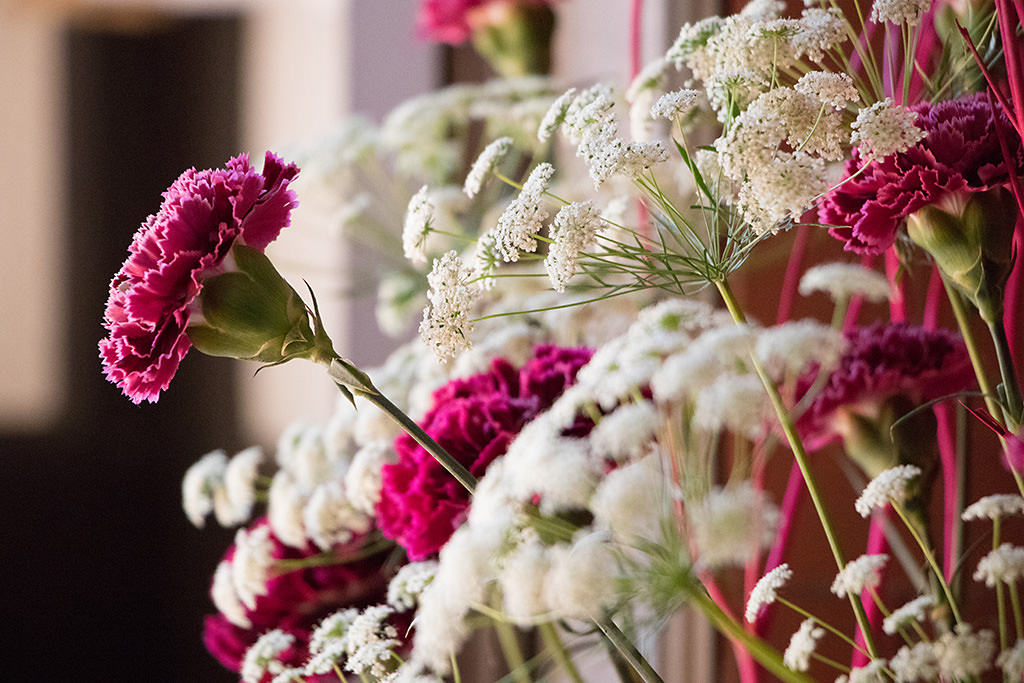 摄影小白怎么学会构图,摄影精准聚焦技巧