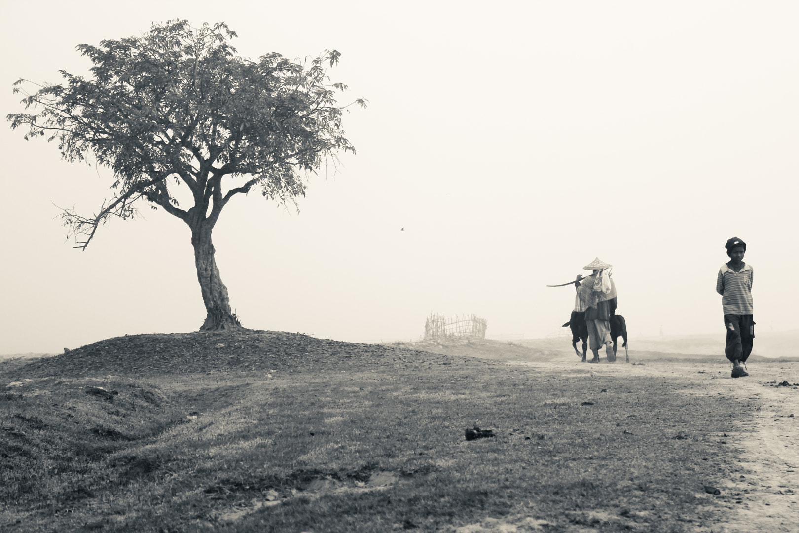 纺织品出口孟加拉,印度纺织业大量订单