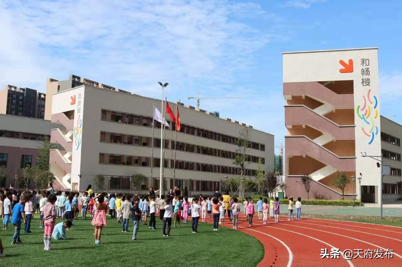 成都天府新区公共服务圈,成都公共服务体系建设案例