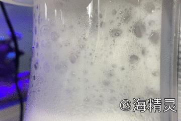 海水产品的优缺点,海水制作的产品有哪些