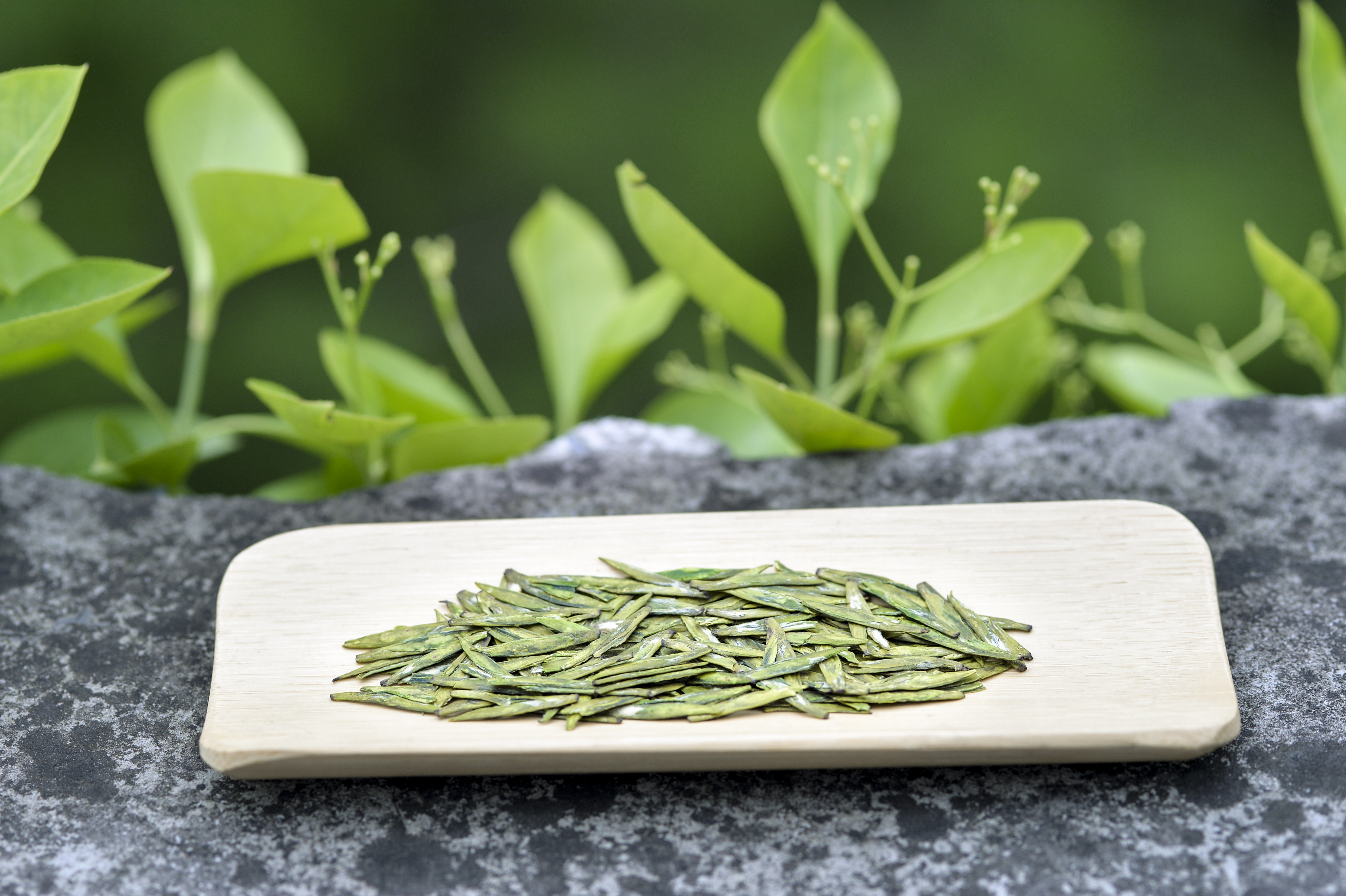 怎么高逼格评价茶叶,怎样评价茶叶口感好