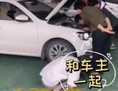 猫在车底不出来怎么办,车底进猫