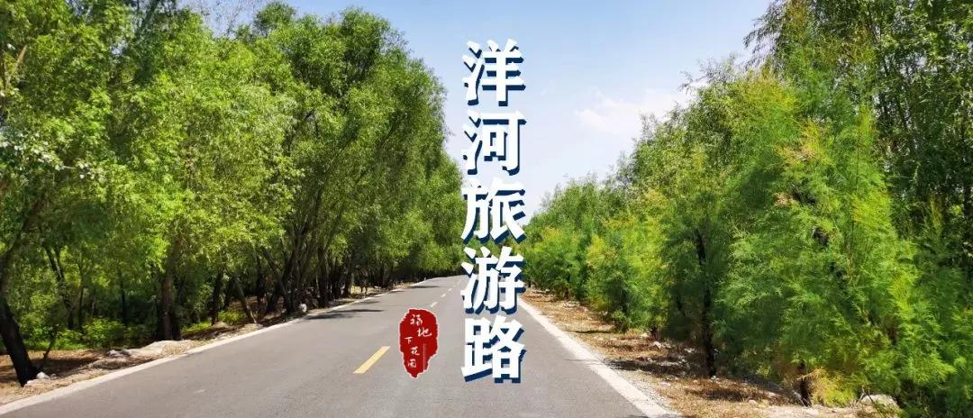 张家口市洋河河道,洋河风景