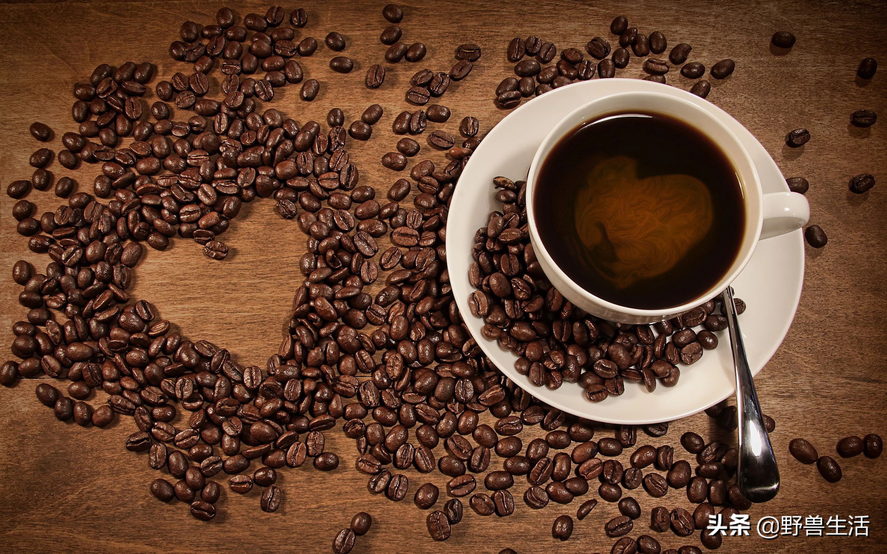 研究表明喝咖啡的好处,研究表明喝咖啡最好时间段