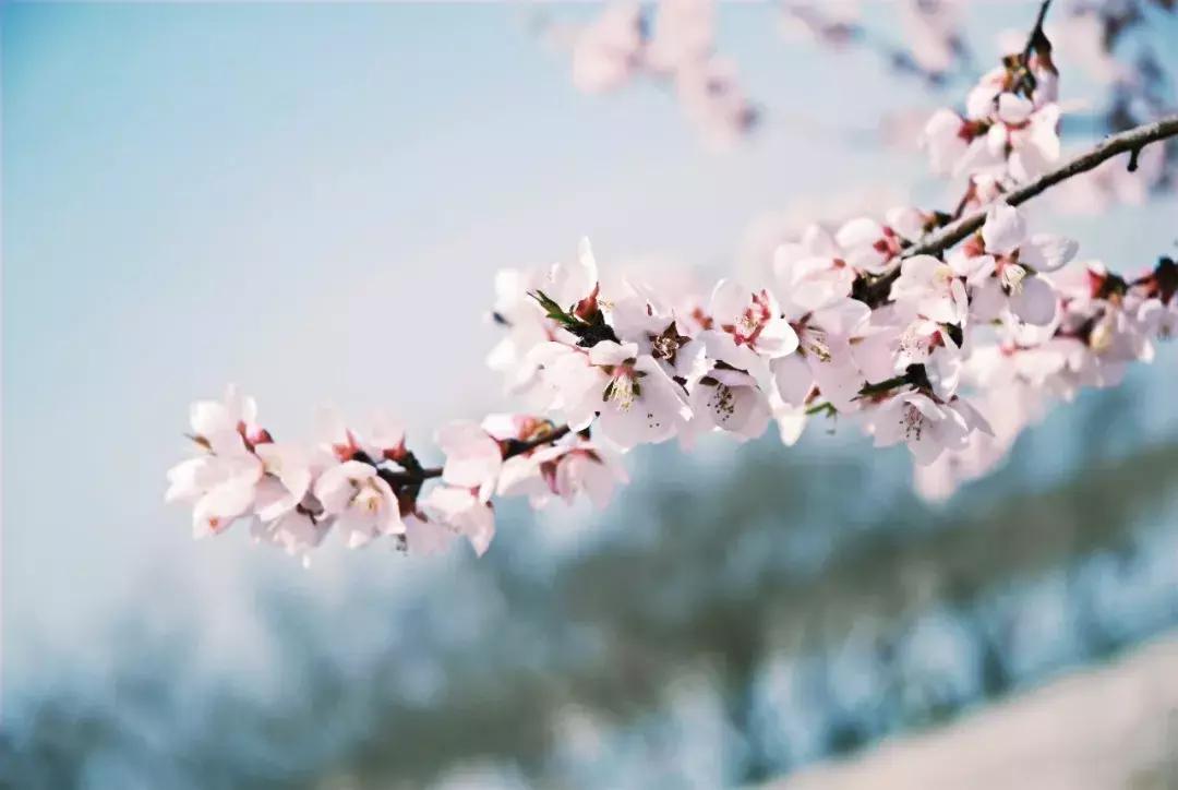 黄沙古渡一票通可以玩几次,黄沙古渡门票套票全攻略