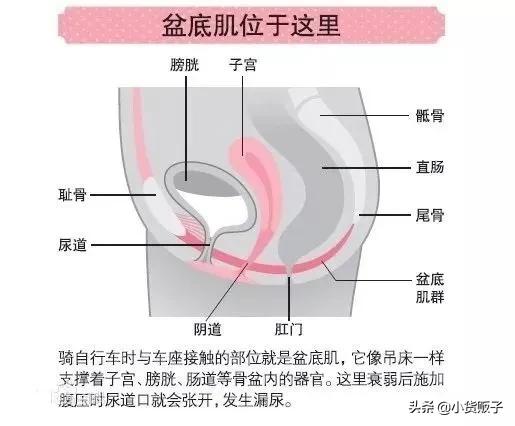 内脏下垂、子宫脱落、漏尿…今天和你一起说一说束腰的危害