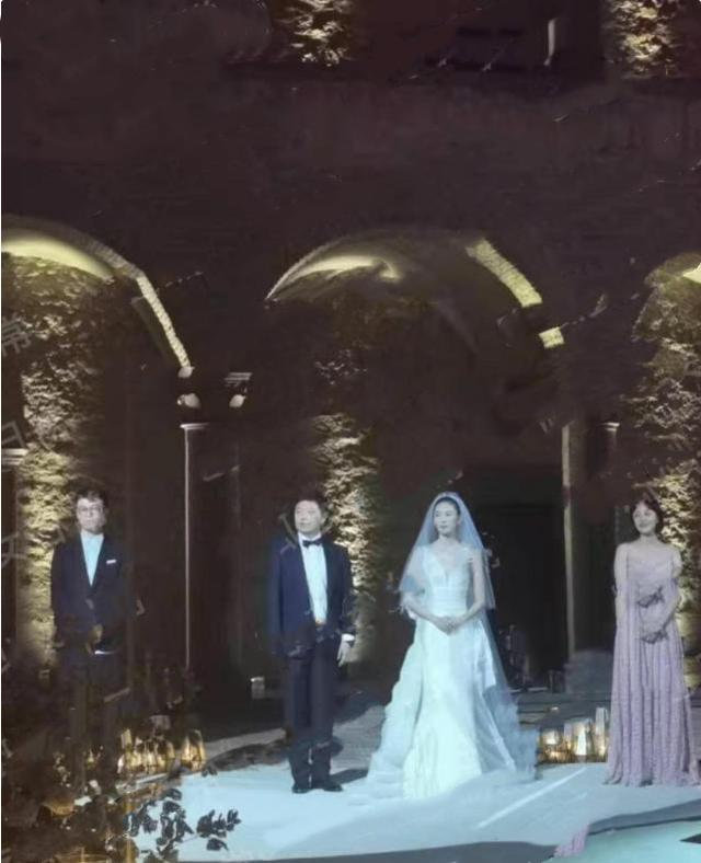 王冉身价千亿,资本大鳄王冉娶童瑶