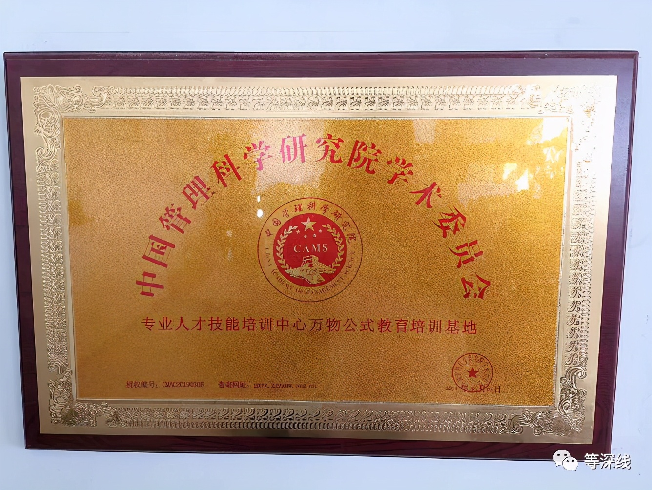 等深线｜一个国家级事业单位的8年停顿与乱战