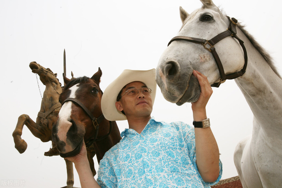 商业模式创新果蔬案例,商业模式和盈利模式美容院