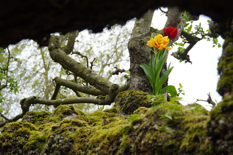 索尼A6400评测体验：自动对焦表现惊人，但也有不少缺点！