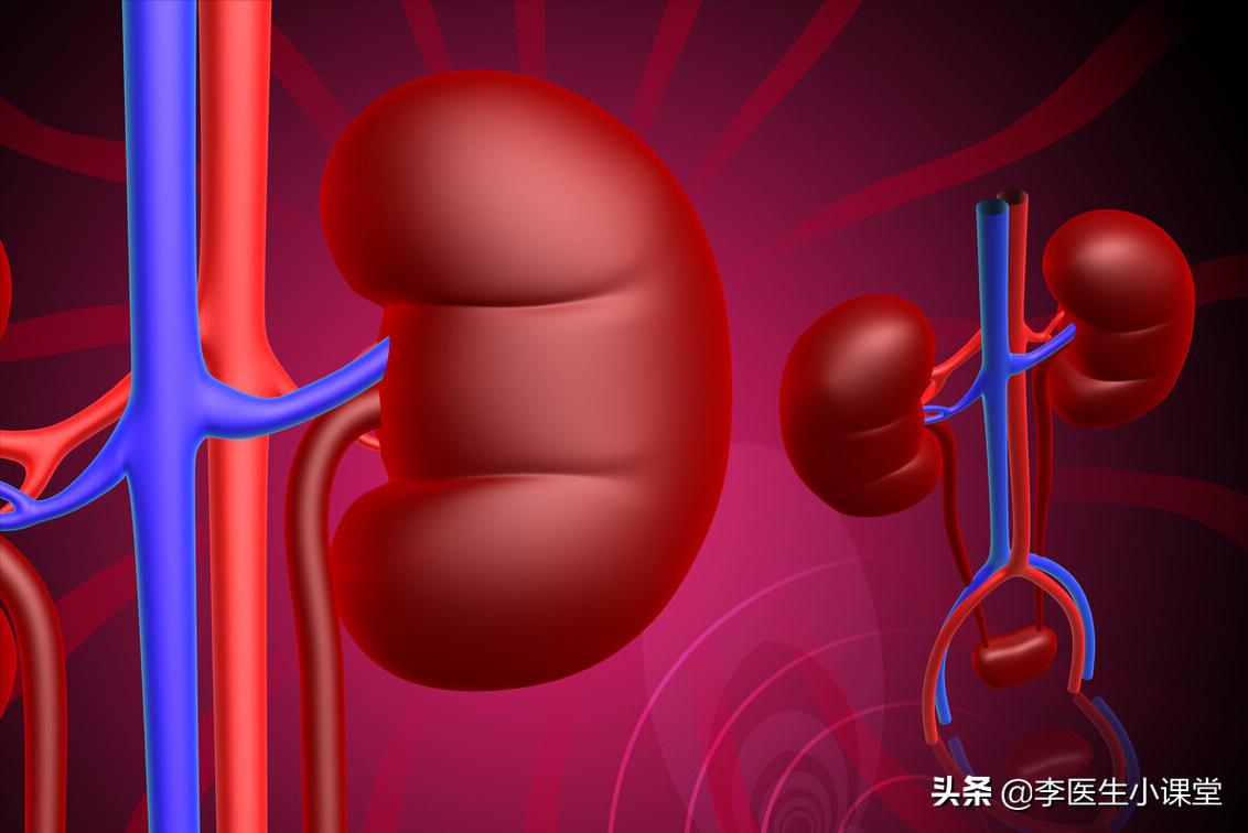 如何保护肾功能避免肾衰竭,肾衰竭怎么做能保护剩下的肾功能