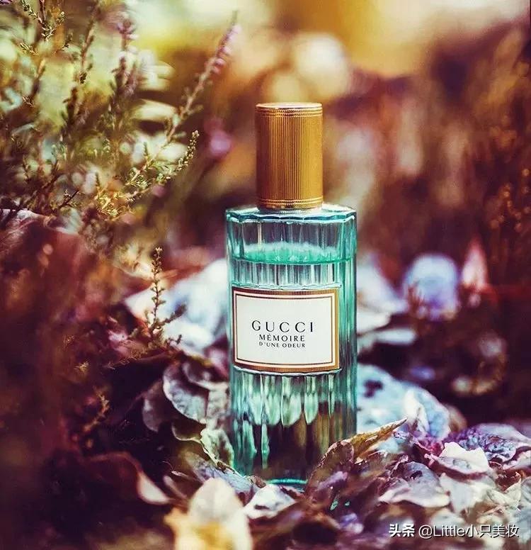 gucci香水男士罪爱系列香水,gucci香水竹韵香水好不好