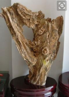 新石种大全,最新发现的石种