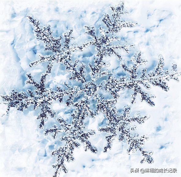 小学一年级第二单元重点知识,小学一年级第二学期重点