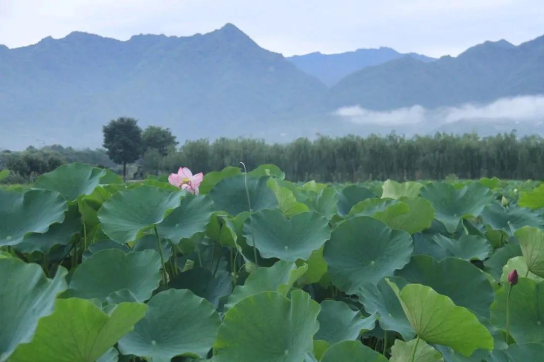 西安周边亲子农场,西安周边适合带孩子去农场的地方