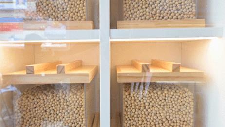 买一送一长沙店,豆乳买一送一