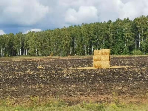 秋明到叶卡捷琳堡,秋明到叶卡捷琳堡多长时间