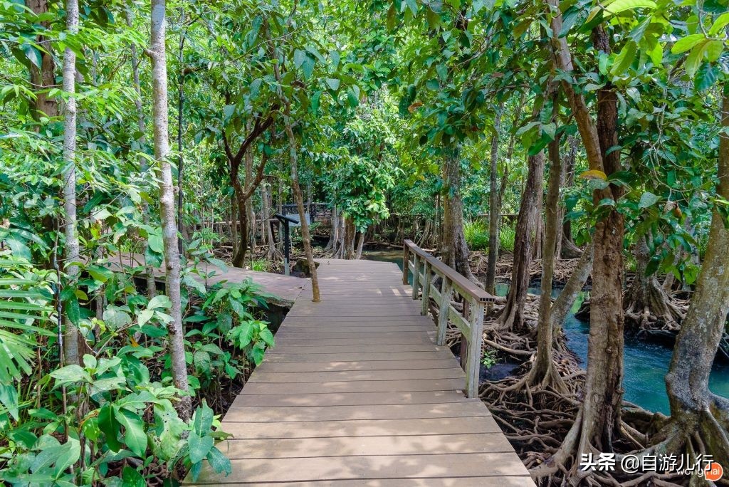 泰国#甲米府#超级旅行宝典