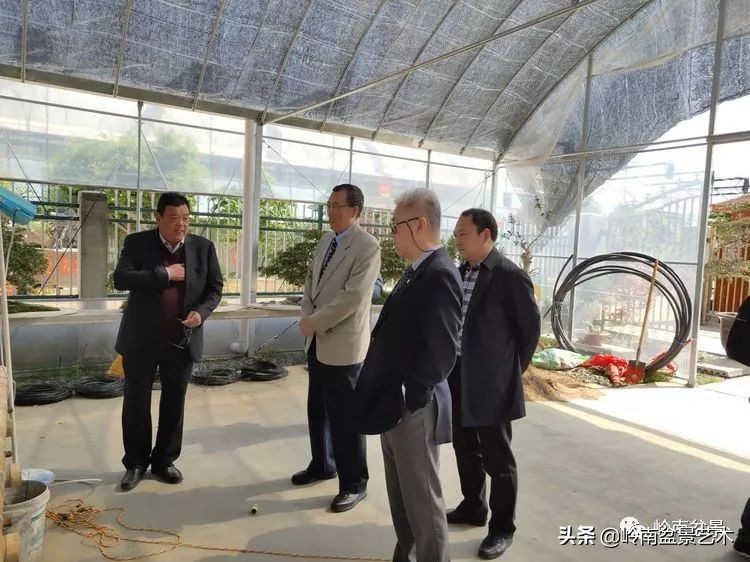 盆景产业的前景,我的盆景创业之路