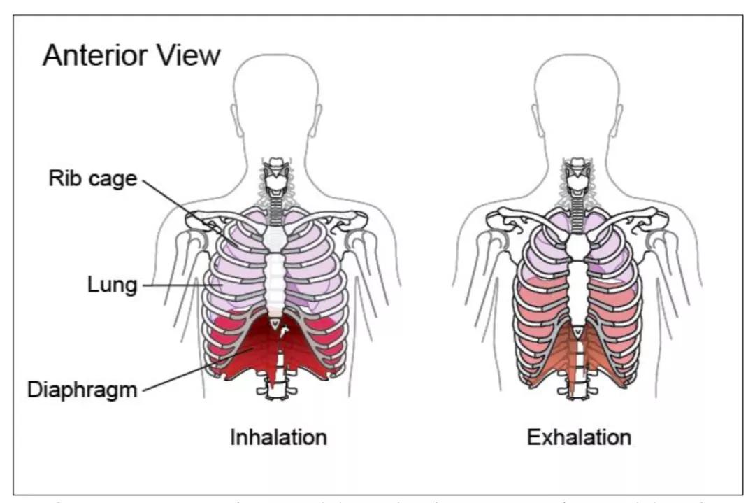 唱歌换气的正确方法和技巧,换气技巧音乐