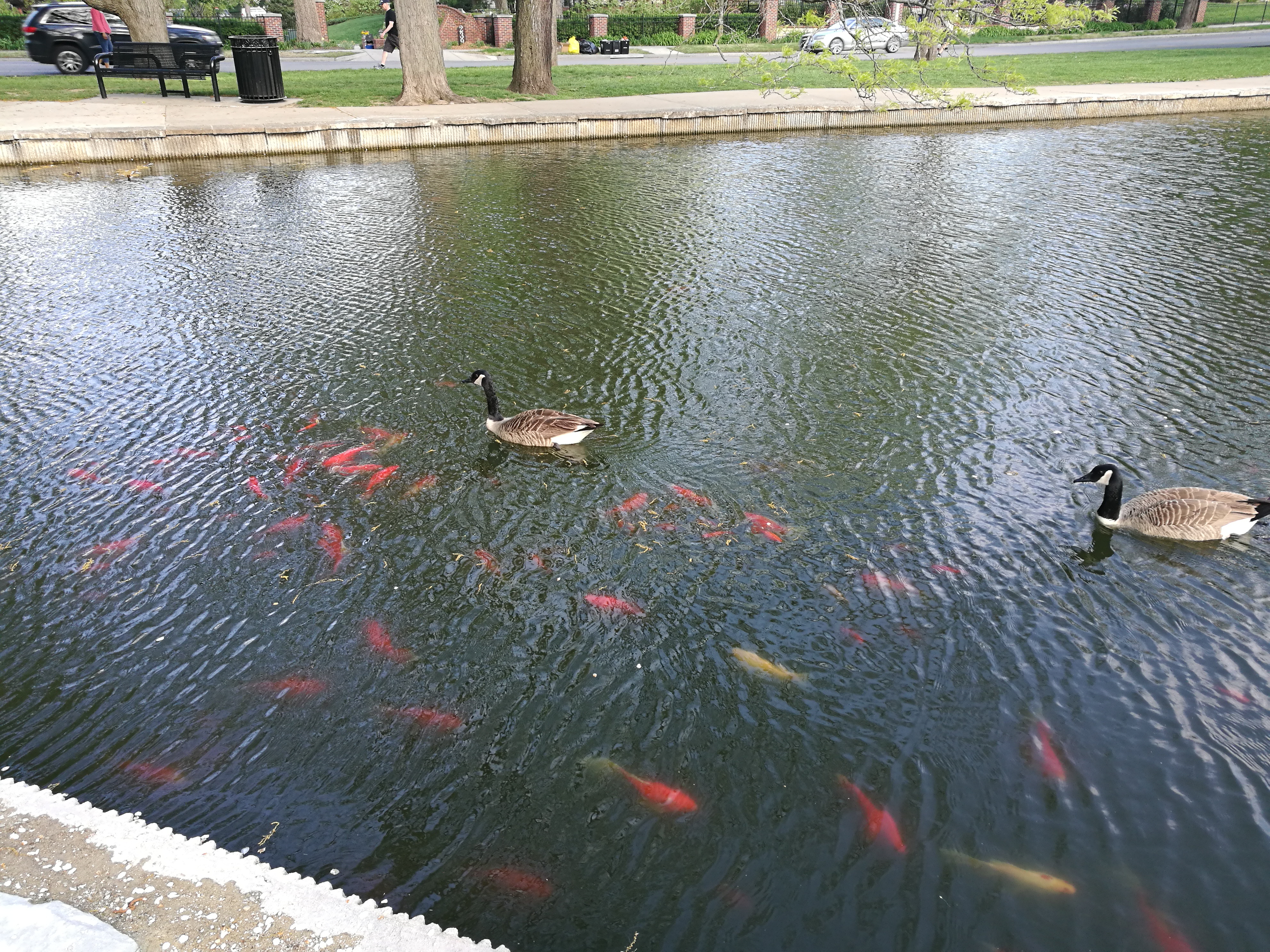 美国堪萨斯城密苏里州,美国堪萨斯州堪萨斯城