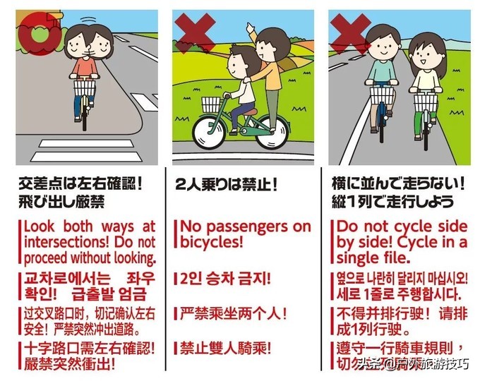 富良野一日游经典路线,日本北海道富良花海