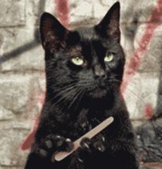 心血来潮做美甲视频,ins风泫雅美甲