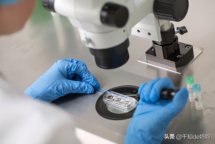 一个生活在冲绳39岁女人的故事,在生育治疗中才知丈夫真实状况