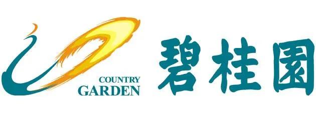 广东省茂名市茂南区镇盛镇碧桂园,碧桂园120平方精装价格茂名市区