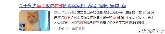 天天吸猫猫毛会被吸进身体里吗,肺里能吸进猫毛么