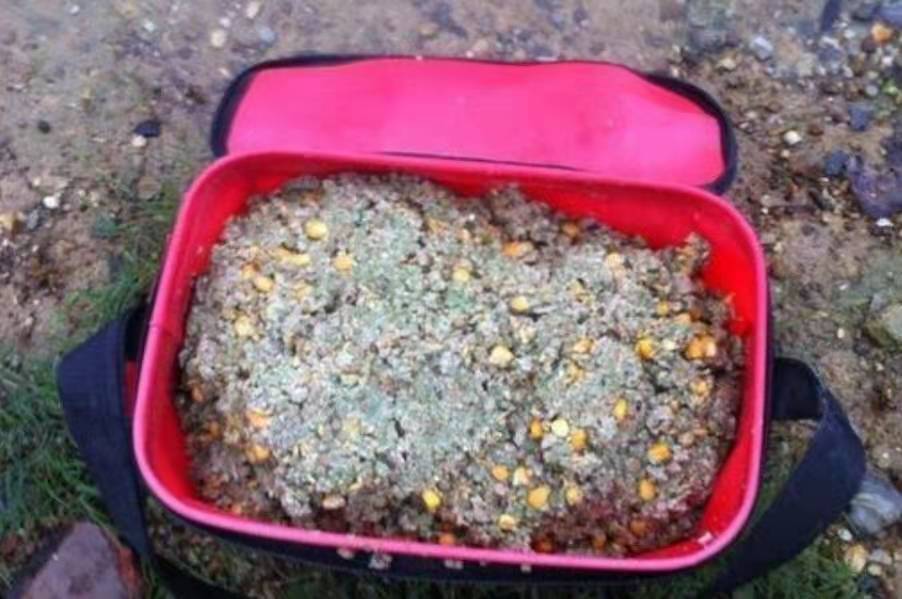 野钓鲤鱼打窝技巧及注意事项,钓鲤鱼要用什么假饵最快上钩