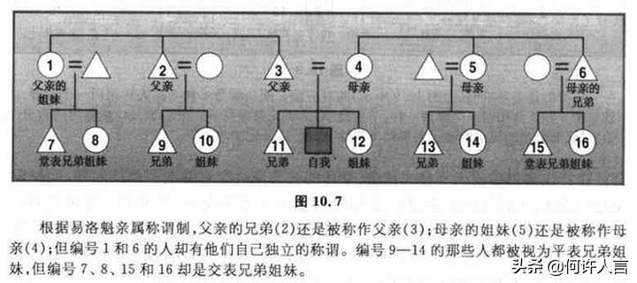 外国人对中国亲戚称呼的看法,外国人对中国亲戚称呼的理解